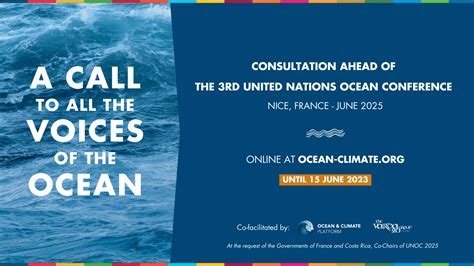 Cry Me an Ocean 2025